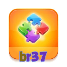 br37