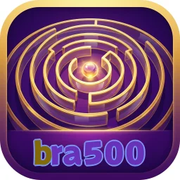 bra500